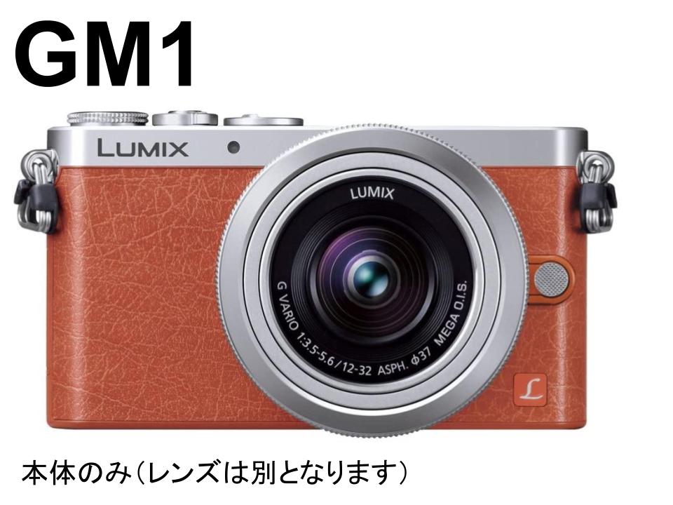 Panasonic LUMIX DMC-GX1 ボディのみ(約5500ショット) 【年中無休 