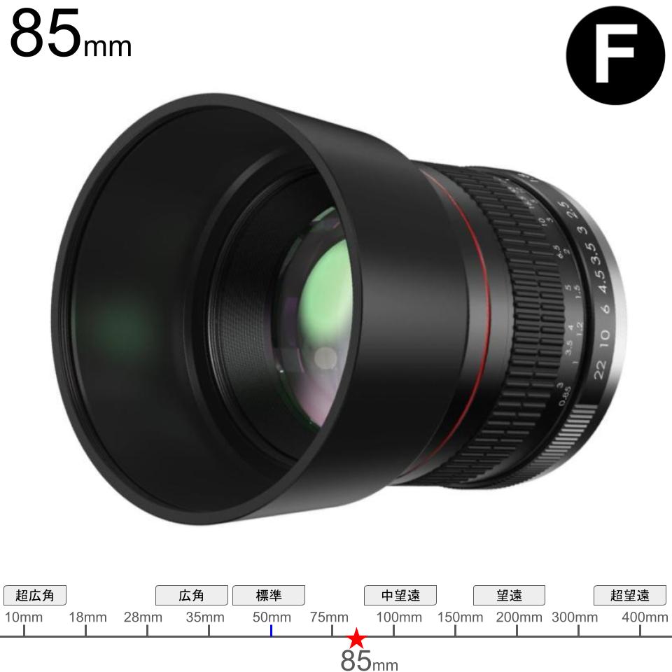 Lightdow AIマウント for Nikon Nikkor 85mm F1.8 Fマウント | パンダ