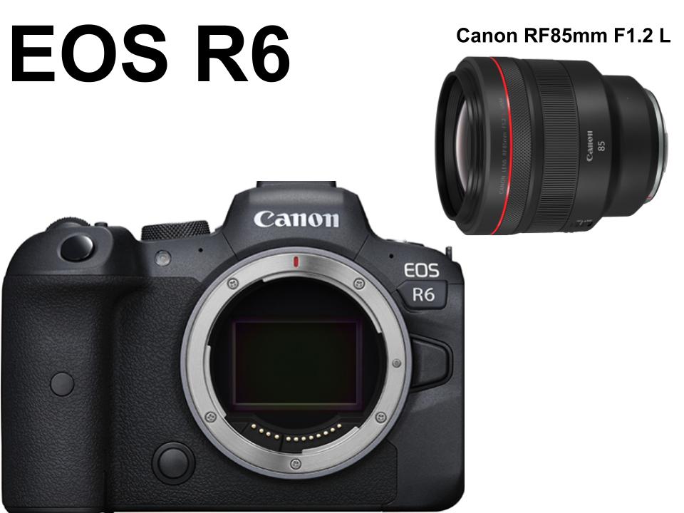 Canon EOS R6 +Canon RF85mm F1.2 L USM