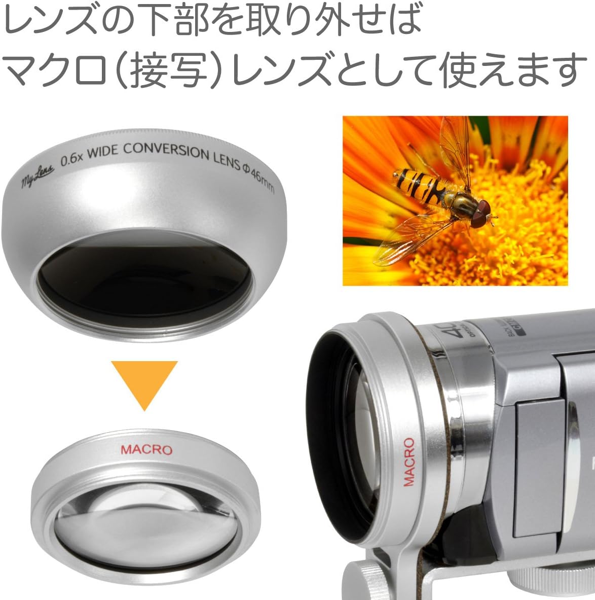画像4