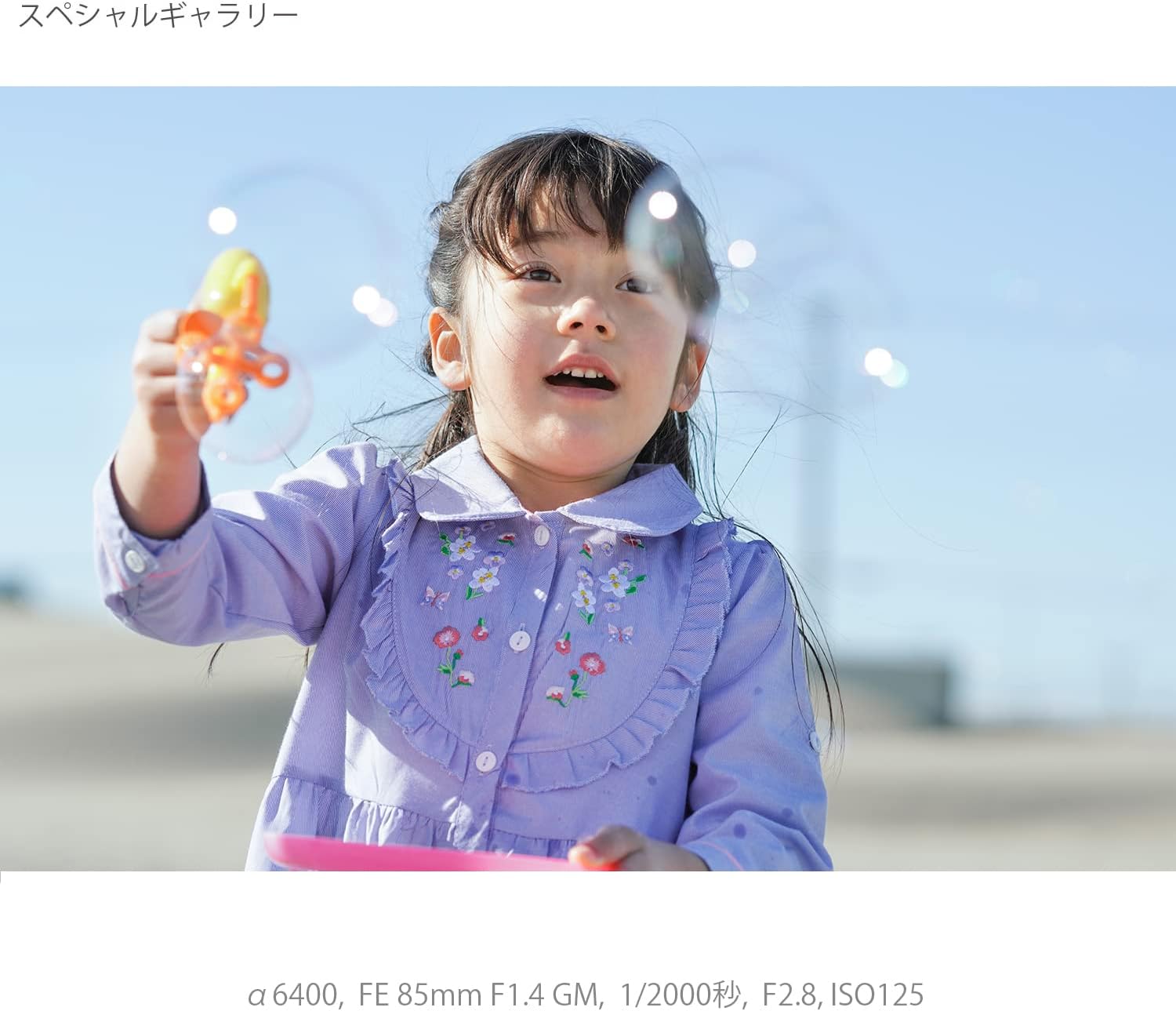 画像13