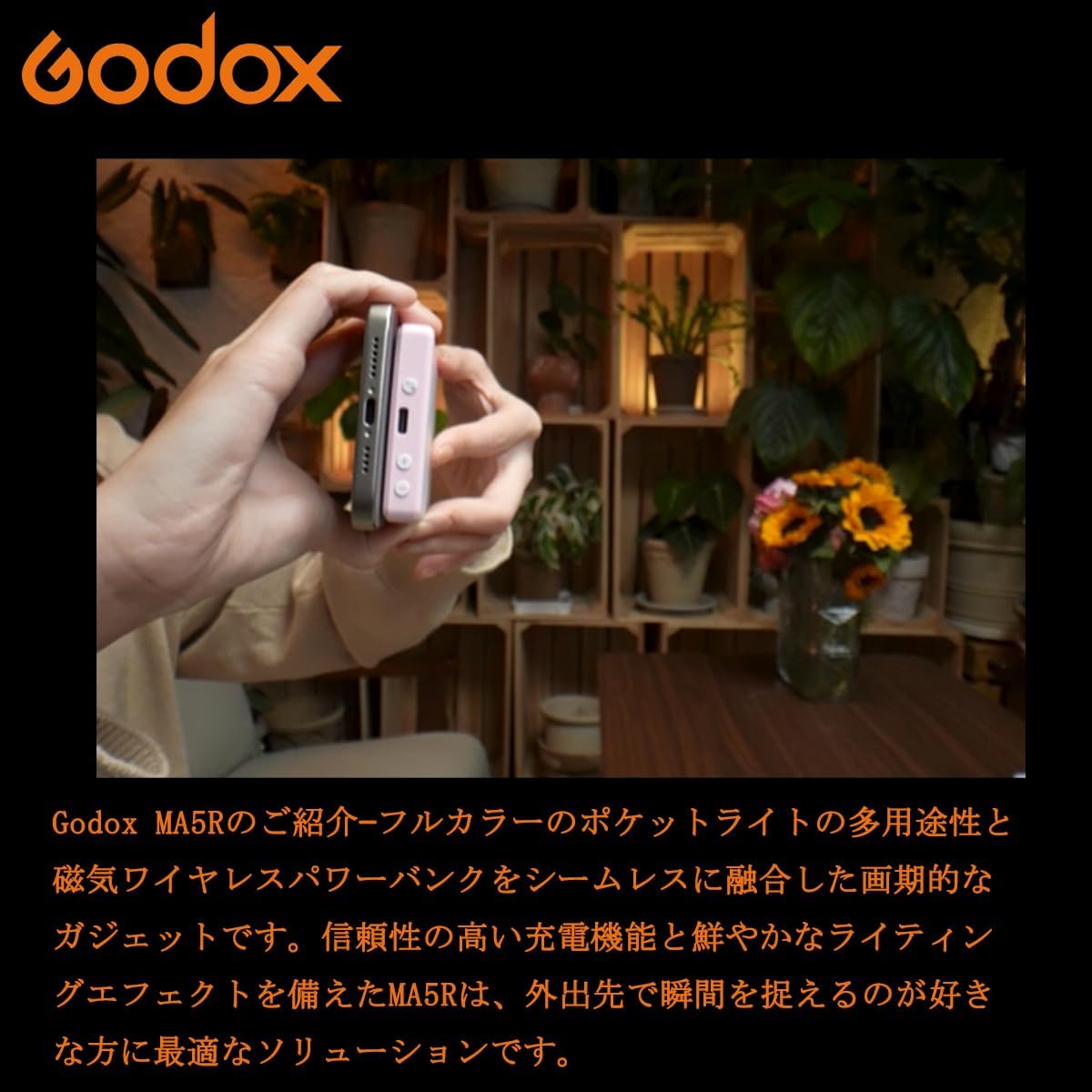 画像12