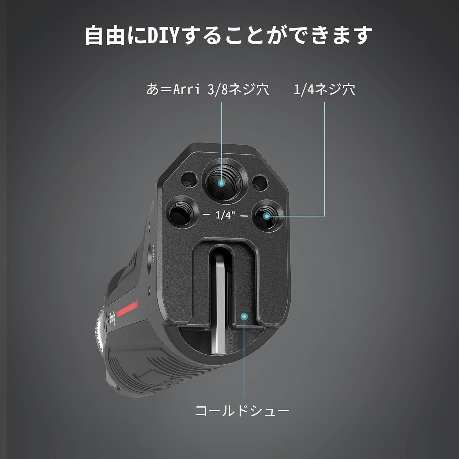 画像5