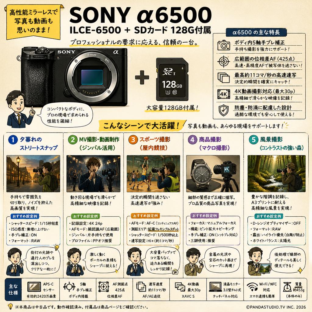 SONY α6500  ILCE-6500 ＋ SDカード 128G付属 用途
