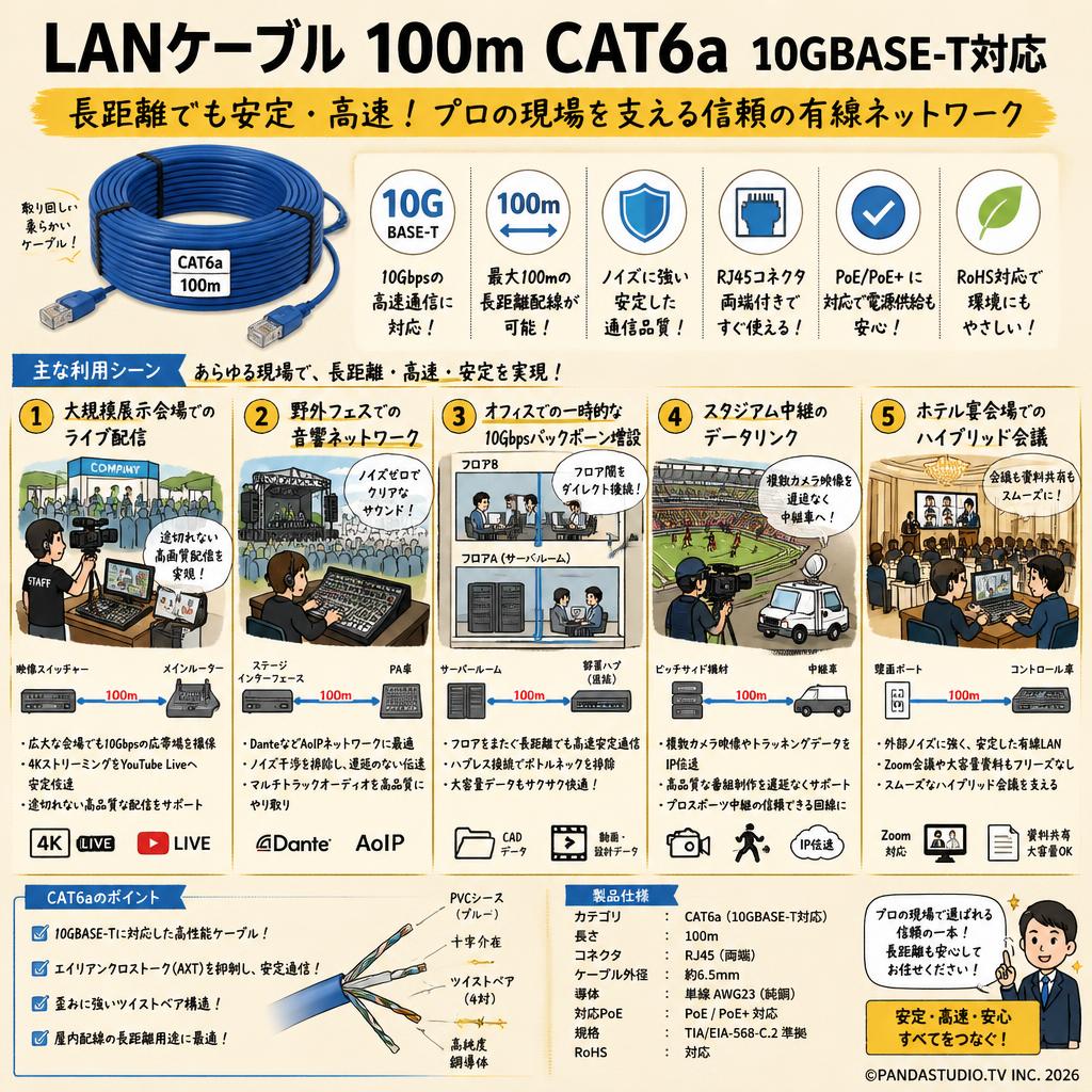 LANケーブル 100m CAT6a 10GBASE-T対応 用途