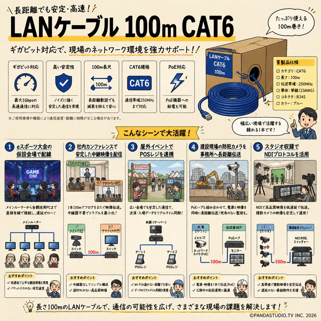 LANケーブル 100m CAT6 用途