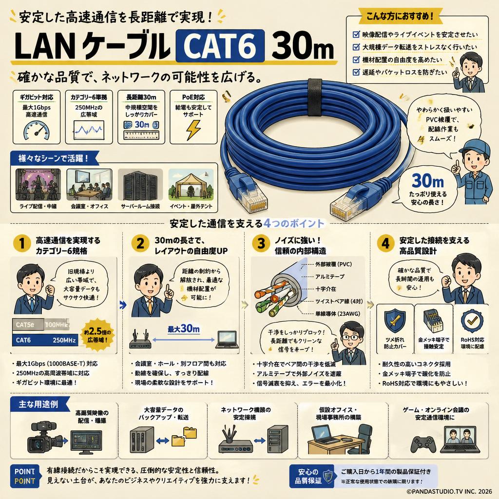 LANケーブル CAT6 30m 概要