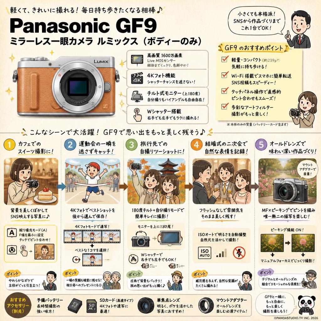 Panasonic GF9 ミラーレス一眼カメラ ルミックス (ボディーのみ) 用途