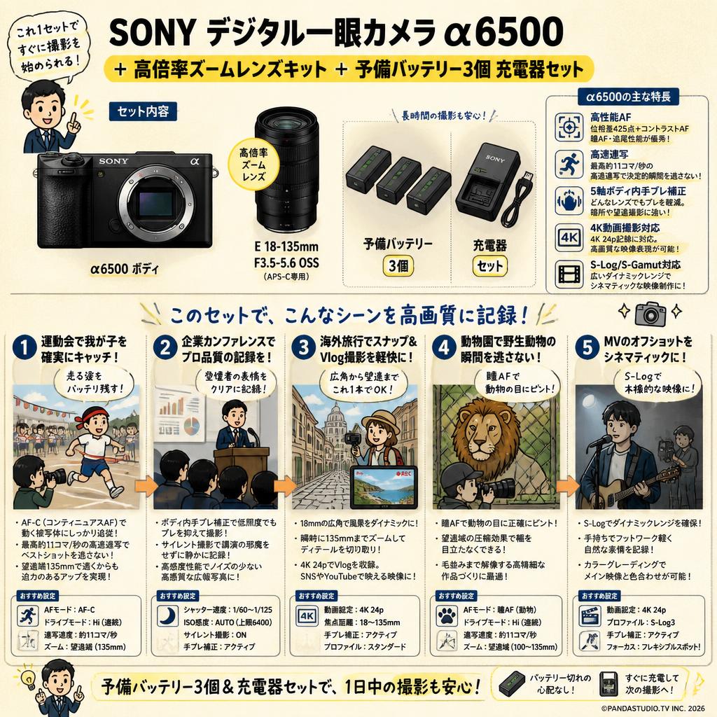 SONY デジタル一眼カメラα6500＋高倍率ズームレンズキット ＋ 予備バッテリー3個 充電器セット 用途