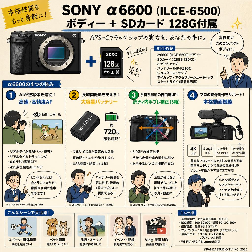 SONY α6600( ILCE-6500 ) ボディー ＋ SDカード 128G付属 概要