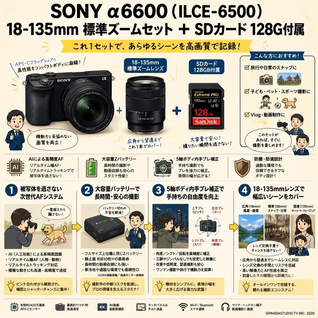 SONY α6600( ILCE-6500 )  18-135mm 標準ズームセット ＋ SDカード 128G付属 概要
