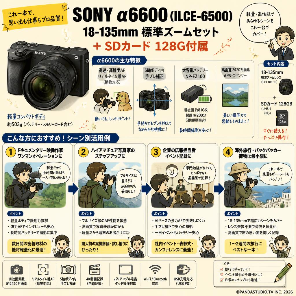 SONY α6600( ILCE-6500 )  18-135mm 標準ズームセット ＋ SDカード 128G付属 おもな対象のお客様