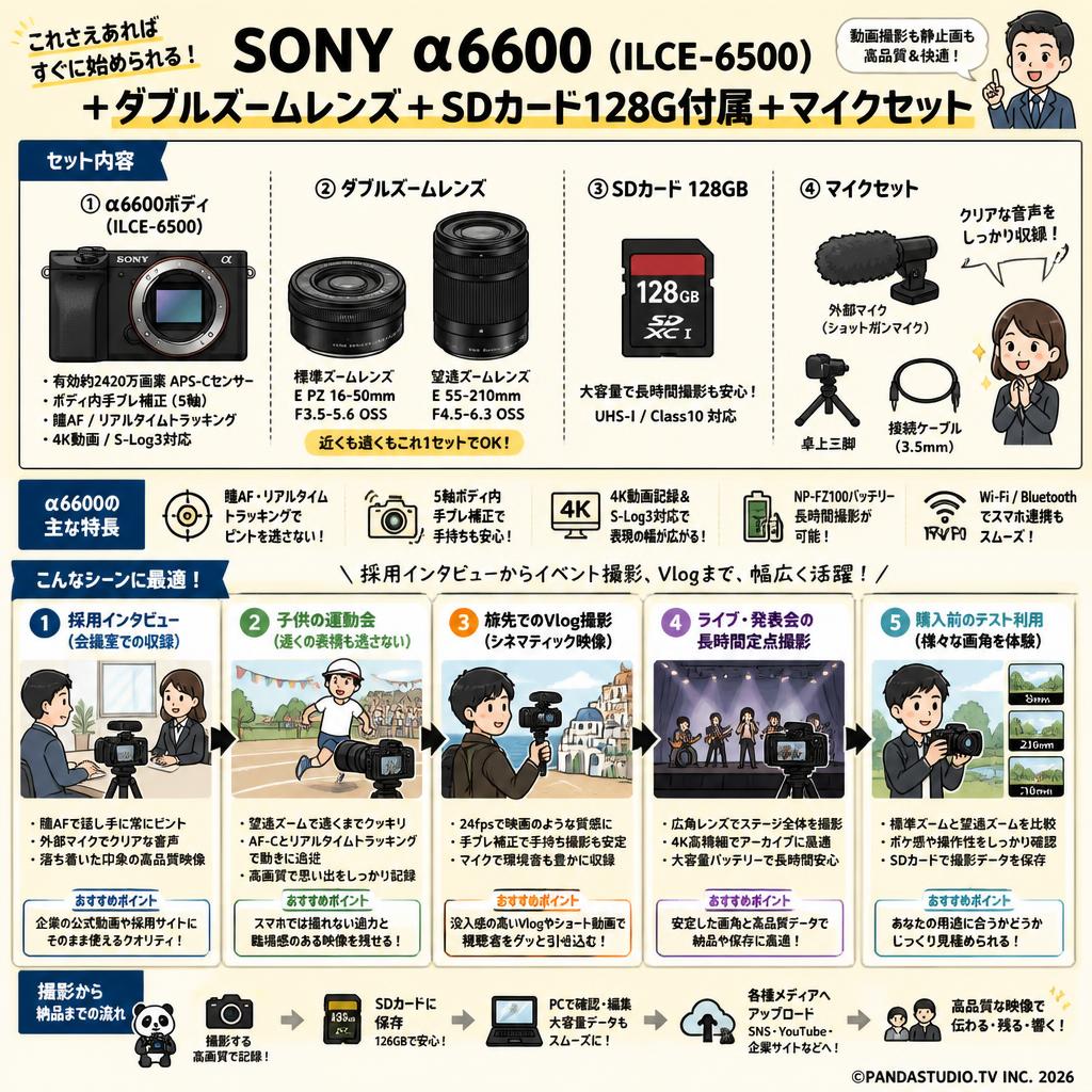 SONY α6600 ( ILCE-6500 )＋ダブルズームレンズ ＋ SDカード 128G付属＋マイクセット 用途