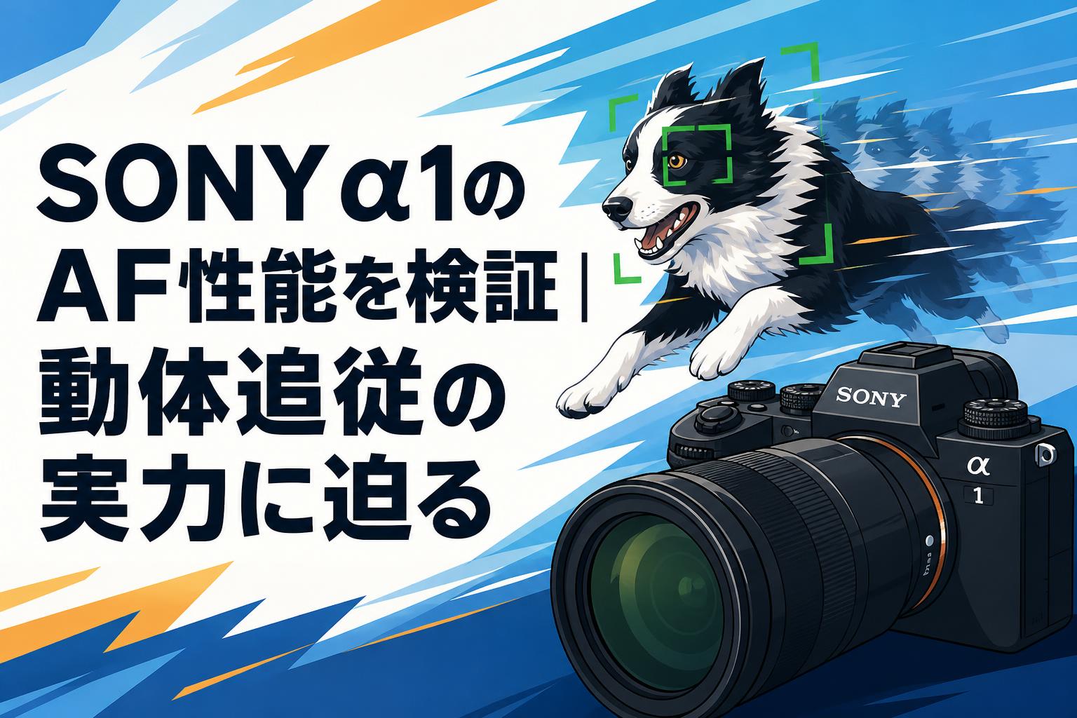SONY α1のAF性能を検証｜動体追従の実力に迫る