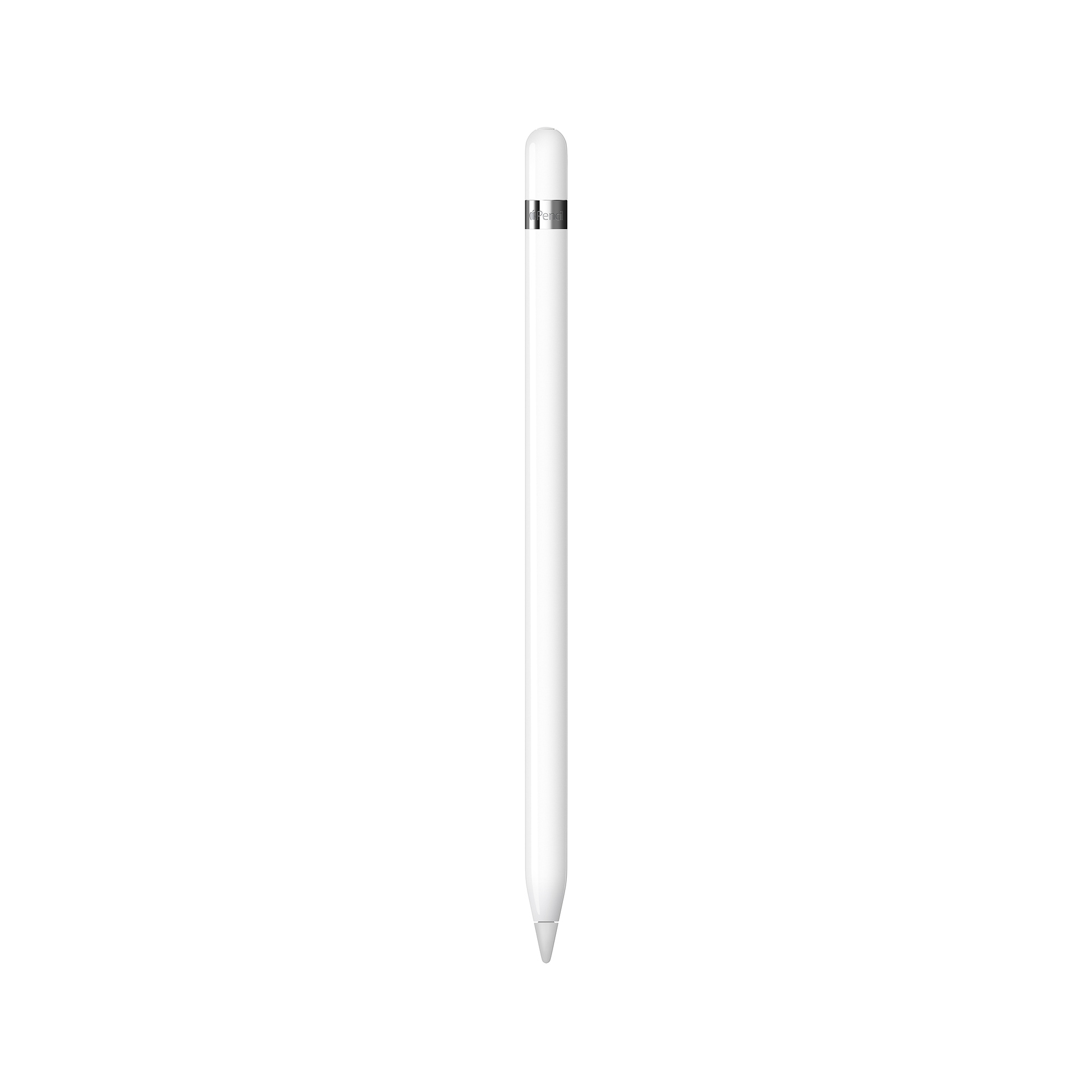 Apple Pencil（第1世代）アップル ペンシル | パンダスタジオ