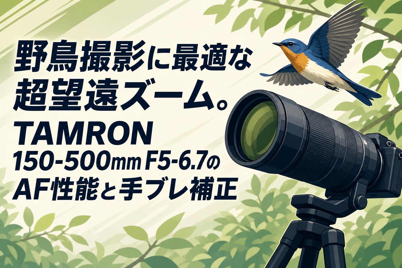 野鳥撮影に最適な超望遠ズーム。TAMRON 150-500mm F5-6.7のAF性能と手ブレ補正