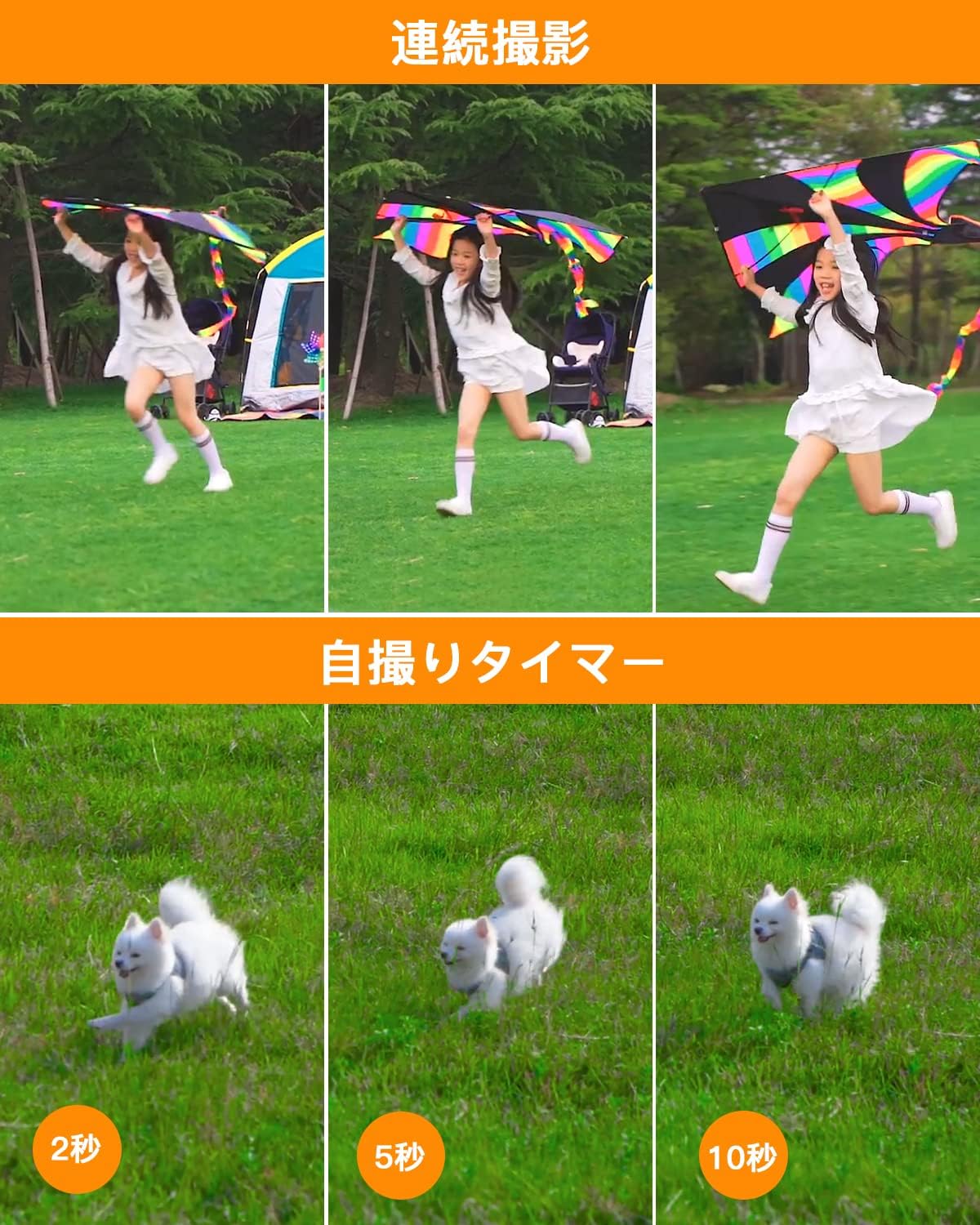 画像8