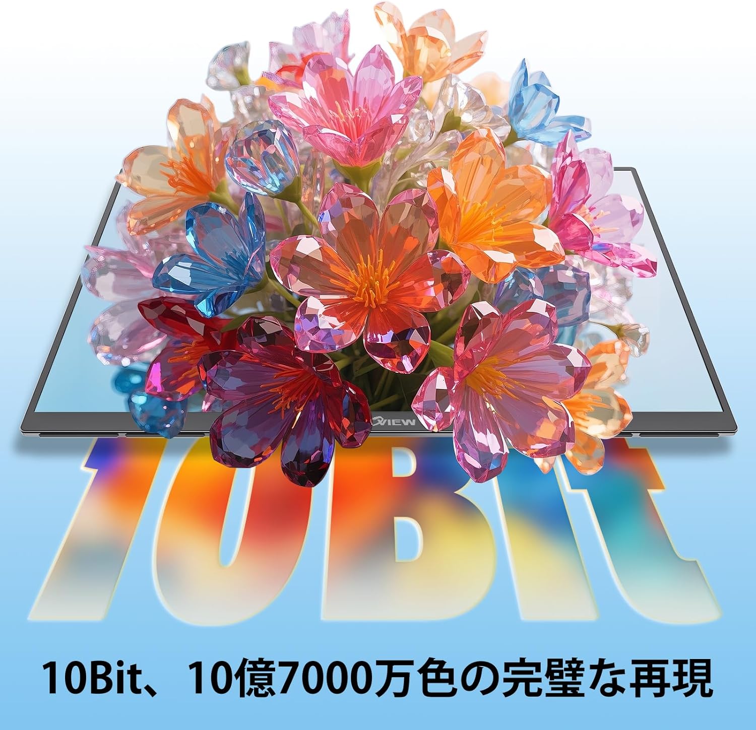 画像7