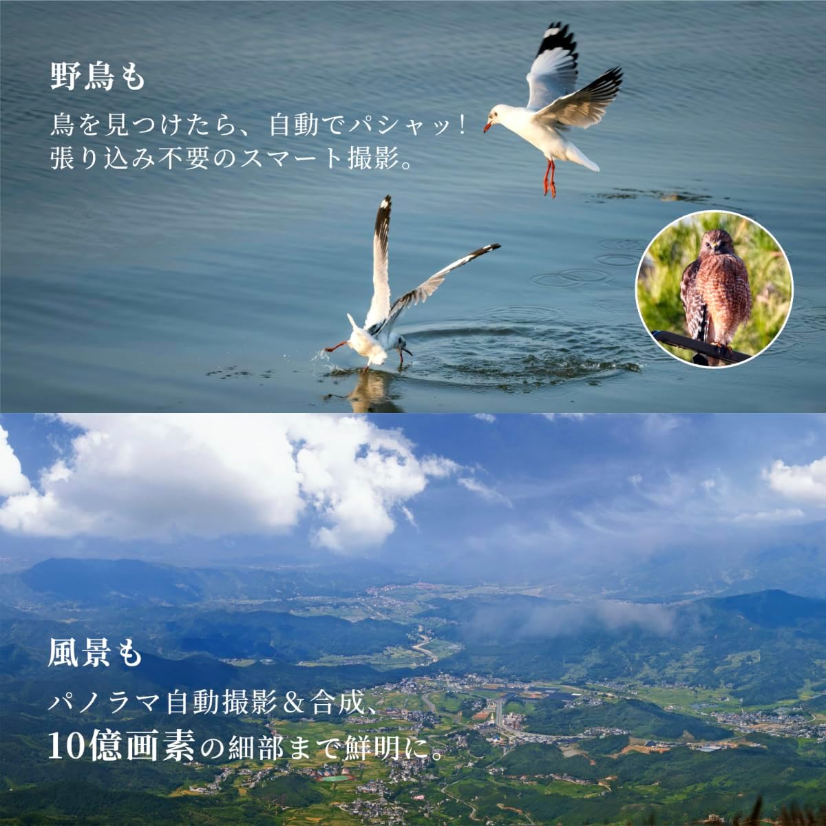 画像6