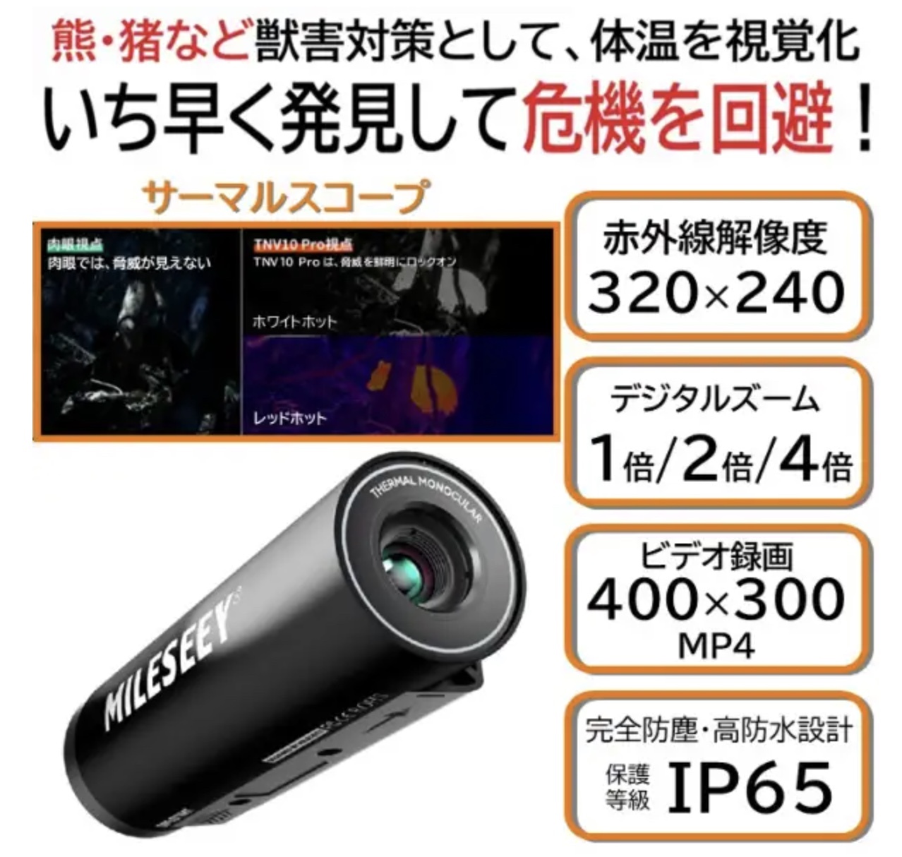 画像8