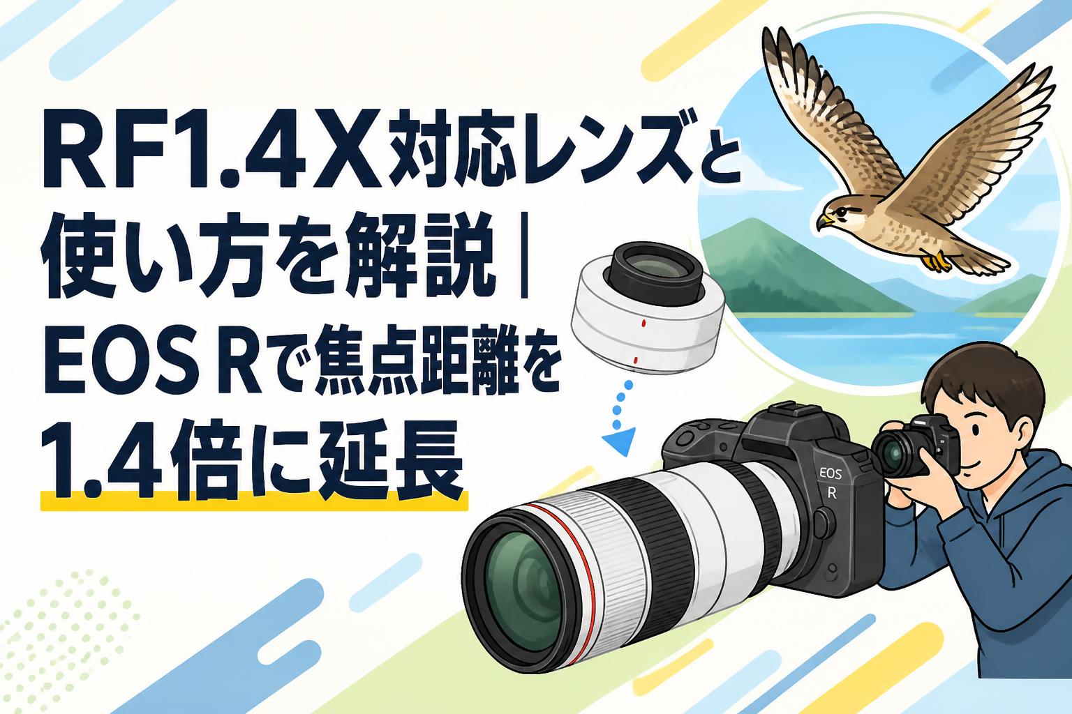 RF1.4X対応レンズと使い方を解説｜EOS Rで焦点距離を1.4倍に延長