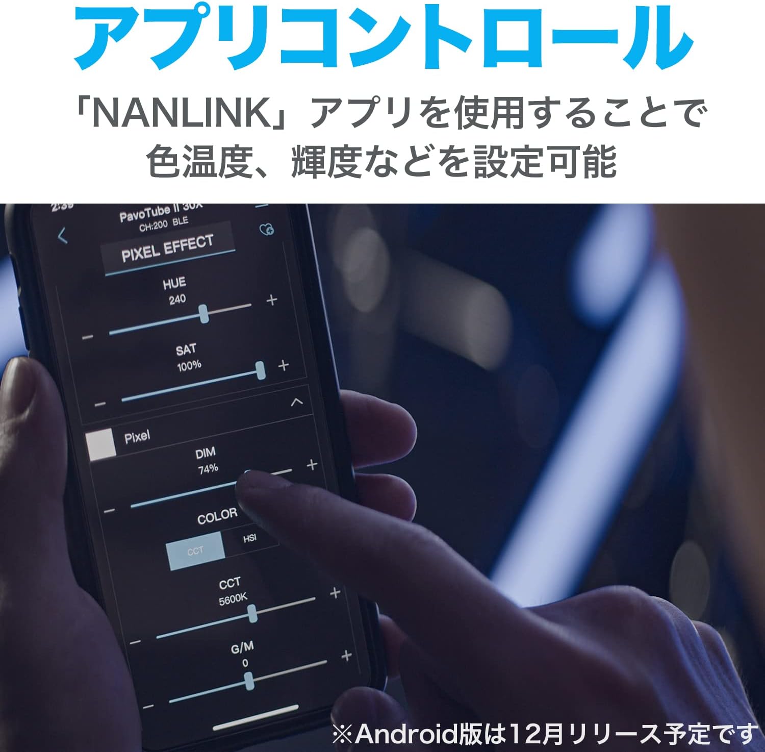 画像8