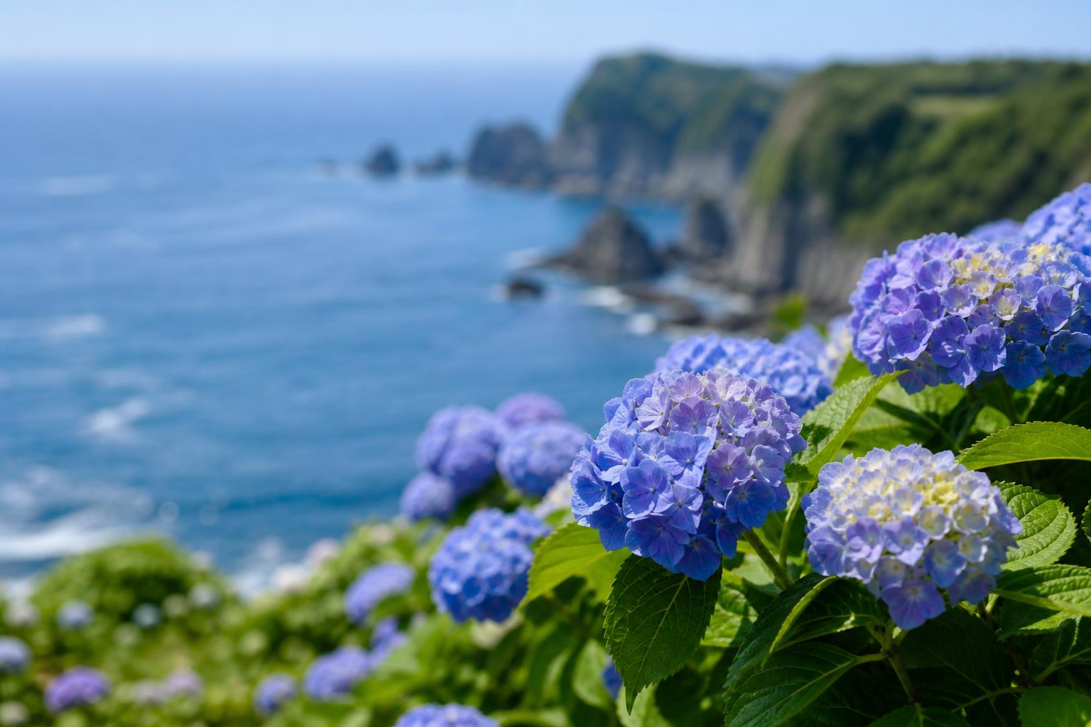 COLOR-SKOPAR 50mm F2.2の解像感・描写性能を検証