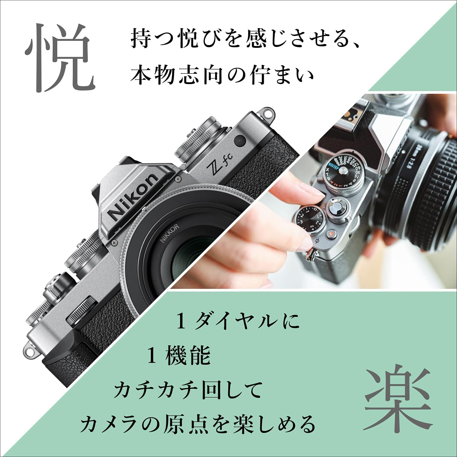 画像5
