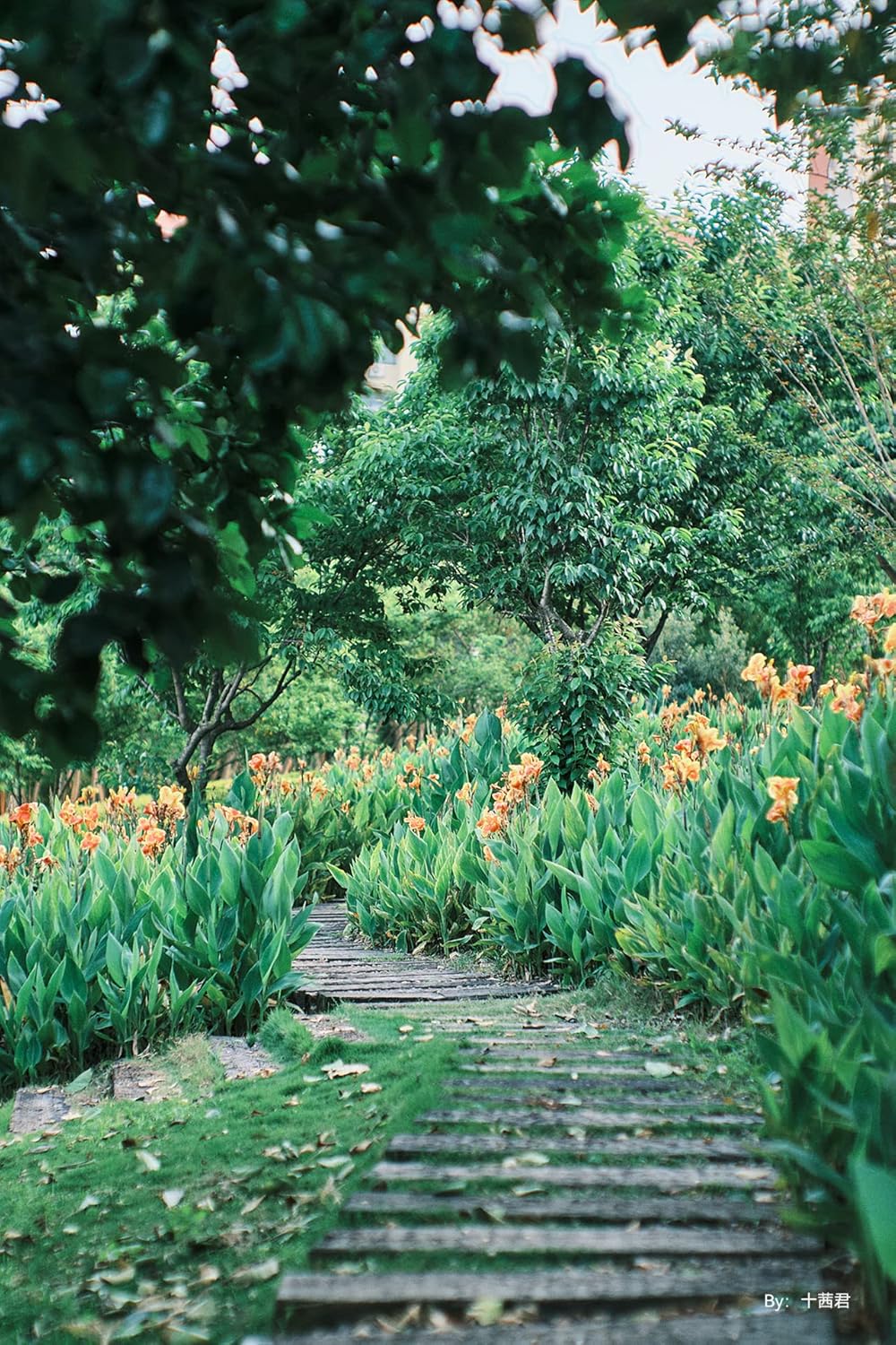 画像9