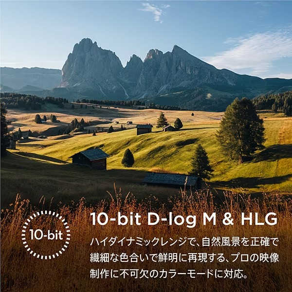 画像9