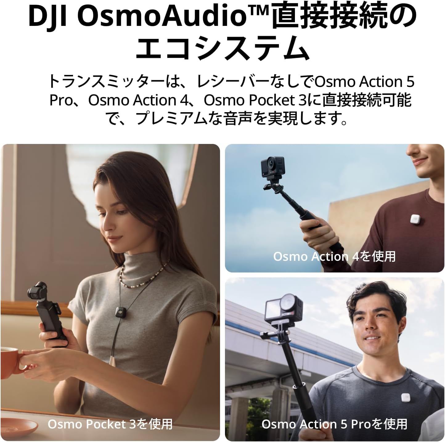 画像12