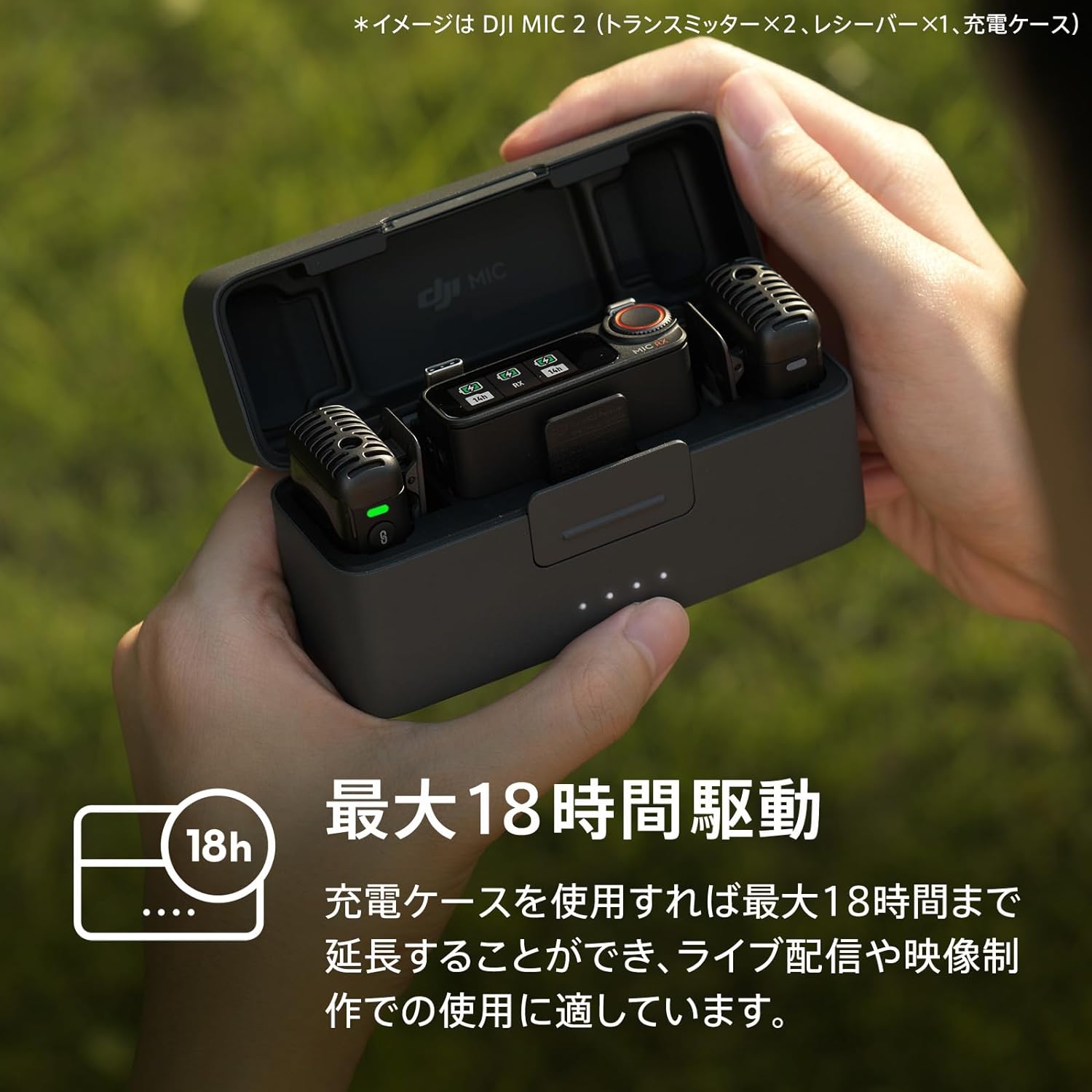 画像12