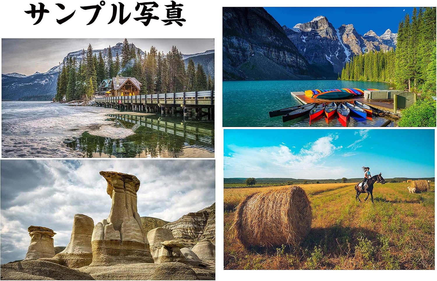 画像4