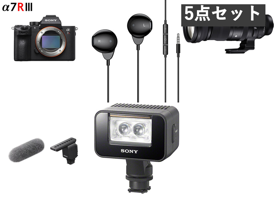 SONY α7R III ILCE-7RM3 / SIGMA 150-600mm F5-6.3 DG DN OS / ECM-B1M
