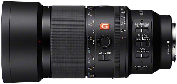 SONY FE 100mm F2.8 Macro GM OSS SEL100M28GM Eマウント | パンダ