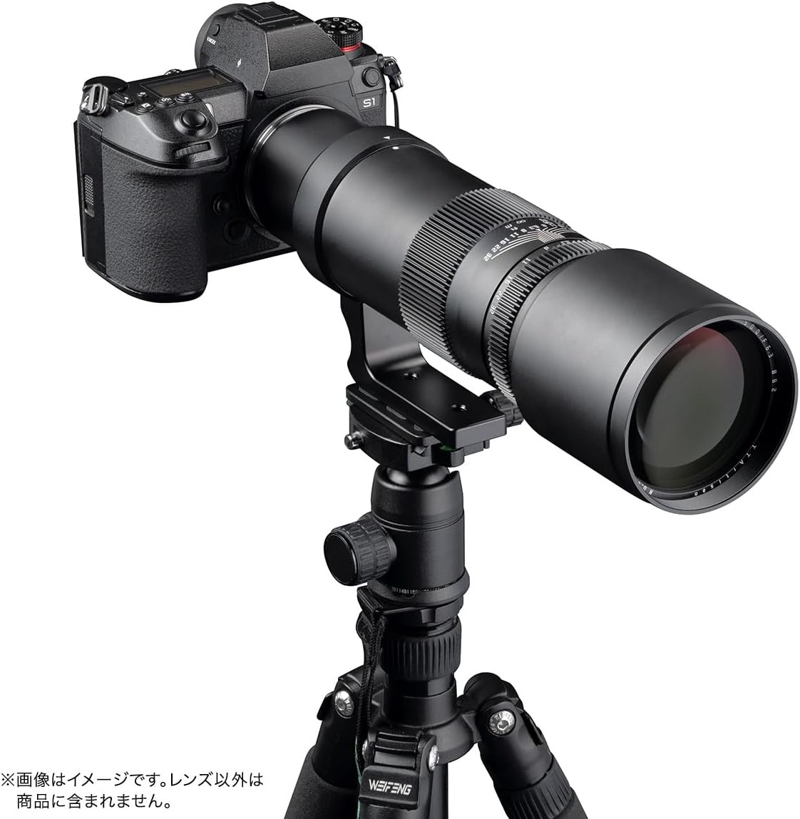 画像4