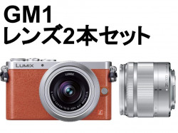 Panasonic GM1 デジタル一眼カメラ ルミックス+ダブルレンズ【LUMIX G VARIO 12-32mm F3.5-5.6 / LUMIX G 25mm F1.7 】セット