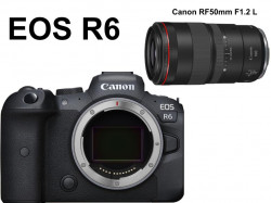 Canon EOS R6 ミラーレス+Canon RF100mm F2.8L MACRO IS USM （キヤノンRFマウント) セット