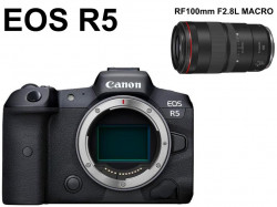 Canon EOS R5ミラーレス一眼カメラ+RF100mm F2.8L MACRO IS USM キヤノンRFマウントセット
