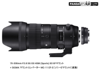 SIGMA 70-200mm F2.8 DG OS HSM (Sports) EO + SIGMA マウントコンバーター MC-11 EF-E