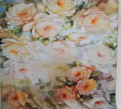 背景布 (3×6m)