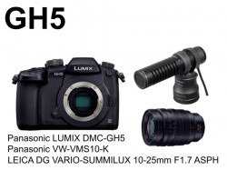 Panasonic LUMIX GH5 ルミックス＋レンズ LEICA DG VARIO-SUMMILUX 10-25mm F1.7 ASPH + ステレオマイクロホンVW-VMS10-Kセット
