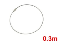 ワイヤーロープ(0.3m)
