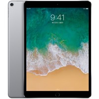 Apple iPad Pro 10.5インチ Wi-Fi 256GB スペースグレイ（ 2017年発売モデル）