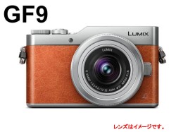 Panasonic GF9 ミラーレス一眼カメラ ルミックス (ボディーのみ)