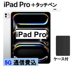 iPad Pro 11インチ 256GB (第 5 世代) SoftBank 純正 5G 使い放題 容量制限なし iPad タッチペン（非純正）_image