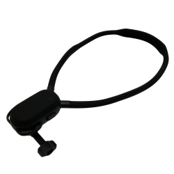 本体