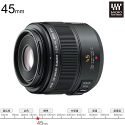 Panasonic LEICA DG 45 F2.8 ASPH H-ES045 マイクロフォーサーズ マウント