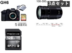 Panasonic DC-GH6 / Panasonic LUMIX G VARIO 100-300mm F4.0-5.6 Ⅱ POWER O.I.S. / SDXCカードセット