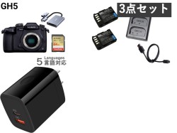 Panasonic LUMIX GH5 DC-GH5＋バッテリー充電器セット